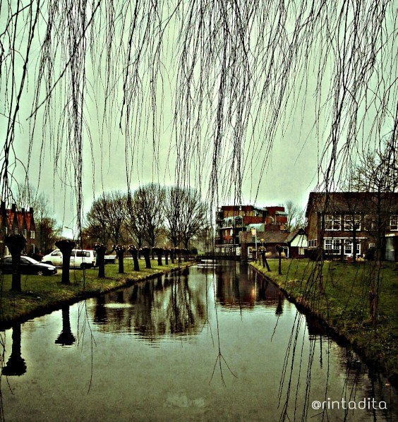 PicsArt_1364006383342