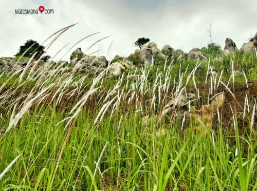 stone-garden-padalarang