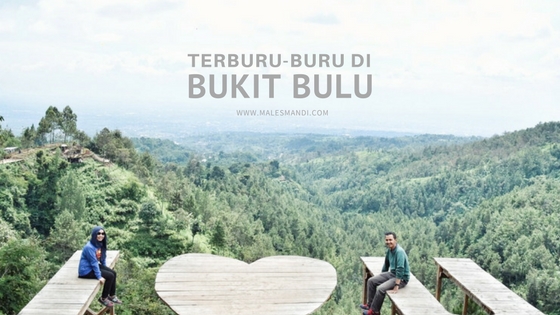 bukit-bulu-wisata-malang